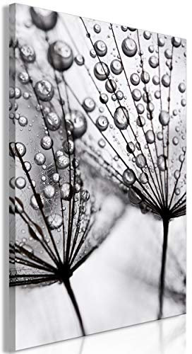 decomonkey Bilder Pusteblume 80x120 cm 1 Teilig Leinwandbilder Bild auf Leinwand Vlies Wandbild Kunstdruck Wanddeko Wand Wohnzimmer Wanddekoration Deko Modern