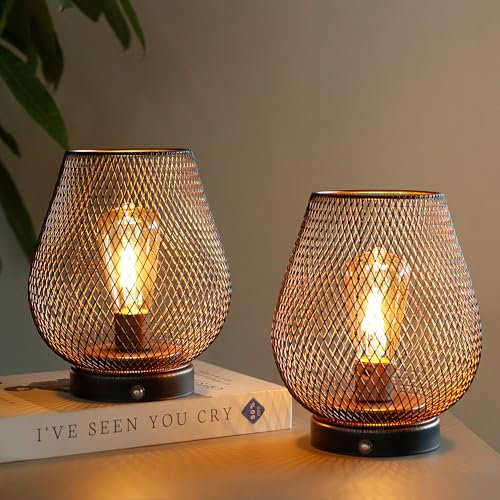 JHY DESIGN Lampada da tavolo touch dimmerabile Set di 2 lampade a batteria ricaricabili con lampadina LED Luce d'accento senza fili per matrimoni, feste in patio, interni ed esterni (uovo di bronzo)