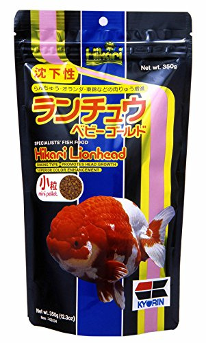 Hikari Lionhead Mini (GröÃŸe: 350g), einen Artikel