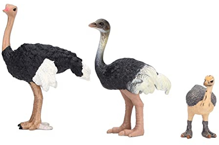 JTLB Straußen-Sammelfiguren, 3 Stück, realistische Straußen-Figuren, Tortenaufsatz, Kunststoff, Wildtiertier-Spielzeugfiguren, Sammlung, Spielset, Lernrequisiten