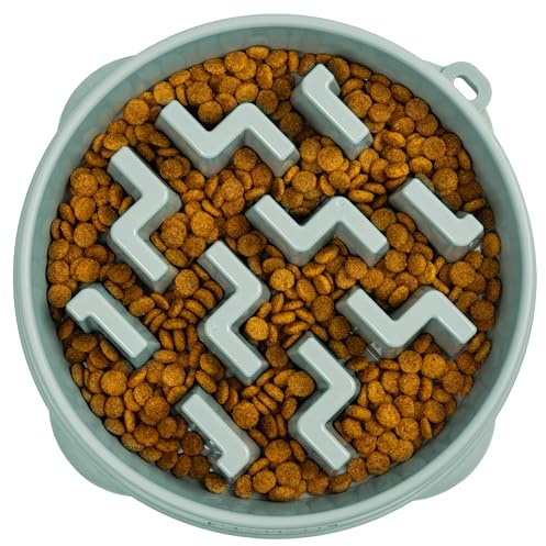 Outward Hound Gamelle Anti-glouton pour Chiens de Taille Moyenne à Grande, Anti-ballonnements, Aide à la Digestion, Peut contenir 1 Litre de Nourriture, antidérapant, sans BPA, Taille L, Vert Sauge