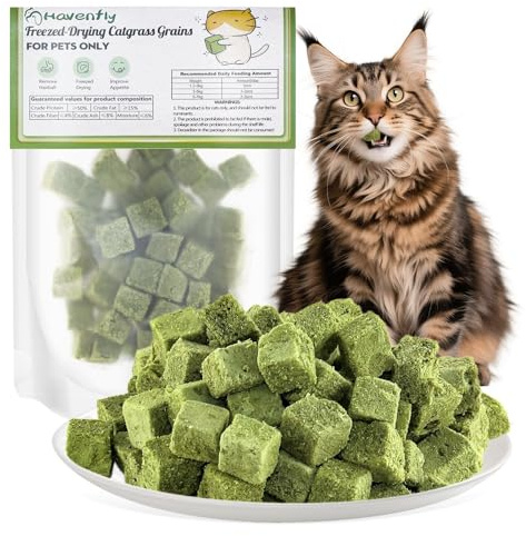 Havenfly 30g Snack per Gatti Erba da gatto, Snack Liofilizzato con Erba Gatta per Elimina Boli di Pelo e Pulizia dei Denti