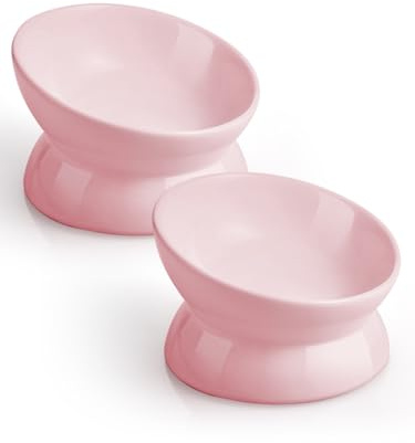 LoeJan Elevated Cat Food Bowl, 5 Oz Ceramic Raised and Tilted Water Bowl, Anti Vomiting and Protect Pets' Spines Dishes for Small Dog, Fat Faced Cat, Kitten (Pink, 2 Pack)