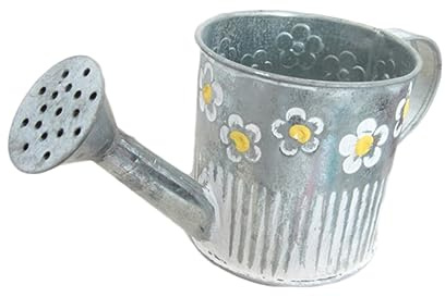 HAWILLOSCH Vaso Artistico in Ferro a Forma Di Annaffiatoio, Contenitore Per Fiori Da Tavolo Rustico, Decorazione Creativa Per Bouquet Freschi e Fiori Di Seta, Resistente e Senza Ruggine