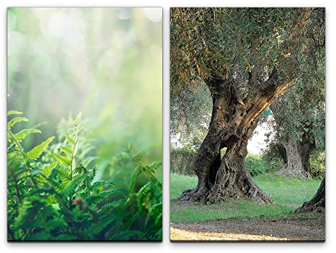 Paul Sinus Art Wandbild 2 teilig je 60x90cm Waldboden Pflanzen alter Olivenbaum großer Baum Sonnenschein warmes Licht Beruhigend