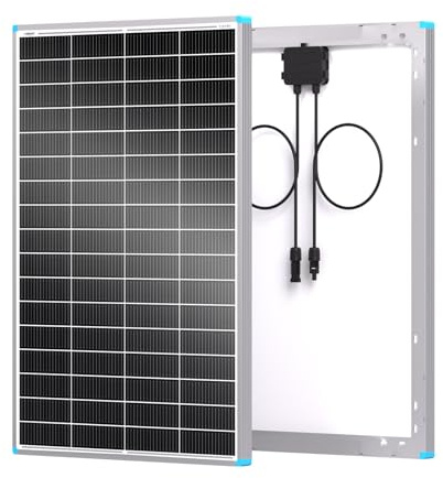 Renogy Paneles solares 16BB tipo N de 175 vatios y 12 V con una eficiencia del 25%, módulo fotovoltaico cargador para baterías de autocaravanas, embarcaciones, granjas y otras aplicaciones fuera