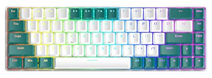 68 tasti tastiere da gioco meccaniche cablate con retroilluminazione RGB, mini portatile 60% tastiera da gioco meccanica per computer portatile Gamer (Aqua Edition Red Switch)