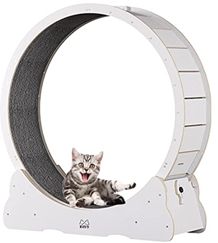 BLANKX Katzenlaufrad für Wohnungskatzen, Leises Kleines Mittelgroßes Laufrad für Katzen, Kleine Lücke Haustier Katze Laufrad Spielzeug mit Bremse,L-White