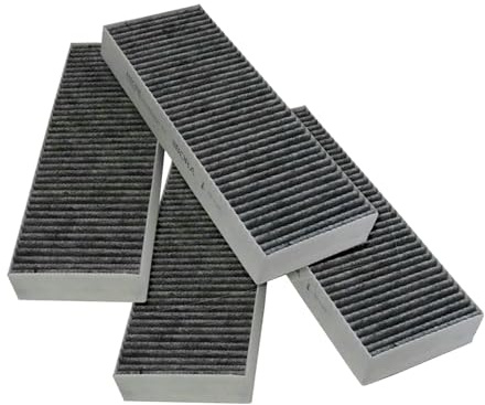 Bora 2er Set Aktivkohlefilter-Set BAKFS
