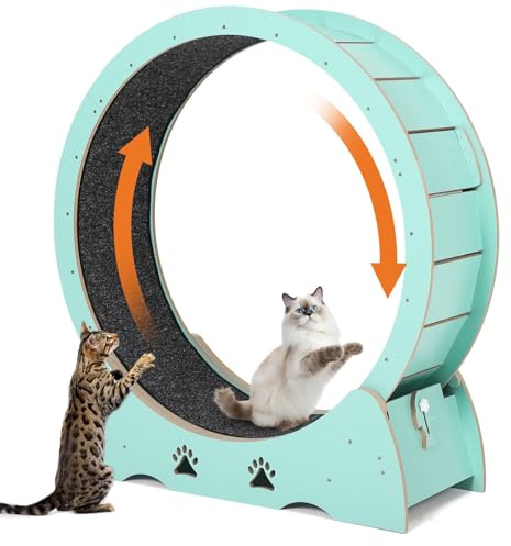 Katzenlaufrad Extra Groß 100 cm, Ultraleises Laufrad Katze mit Teppichmatte, Spielzeug-Set & Sicherheitsverriegelung, Stabil für Alle Katzenrassen