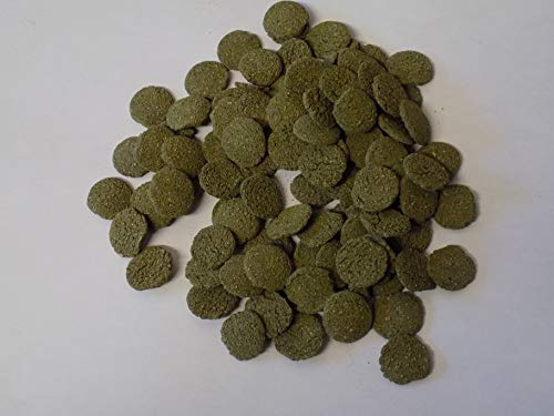 Koidivision Spirulina Algae Wafer Tablet 100Gram - 5KG Large 12mm Tropical Aquarium Pleco Catfish, bottom Feeder Fish Food Feed Growth Health (500gm)