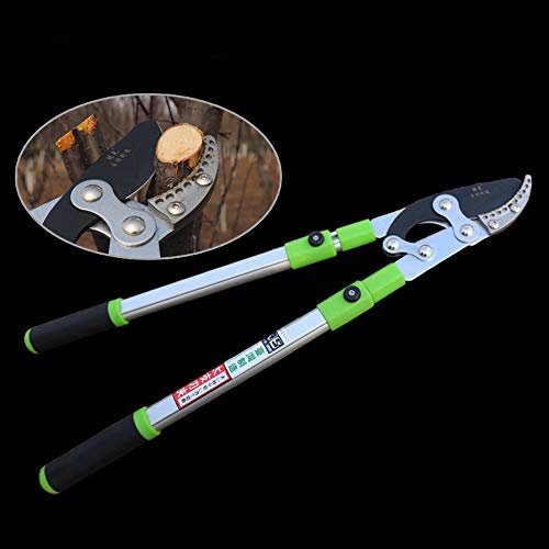 WRISCG Cesoia Troncarami Telescopica a Incudine Taglio Bypass 700-1050mm Lunghezza Regolabile, Professionale SK5 Lama Potatore, per Alberi da Giardino, potare Alberi e siepi