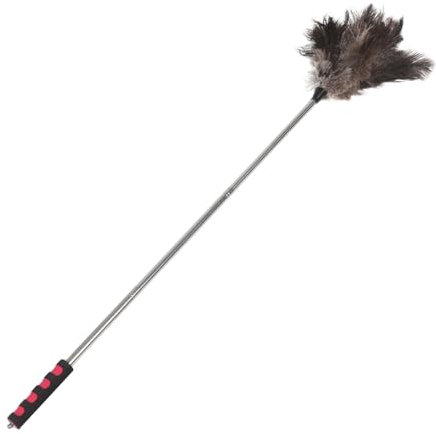 DONFAMDS Plumero Telescópico Extensible de Pluma, Mango de Acero Inoxidable