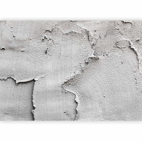 murando Fotomurales 300x210 cm XXL Papel pintado tejido no tejido Decoración de Pared decorativos Murales moderna de Diseno Fotográfico Concreto f-A-0316-a-a