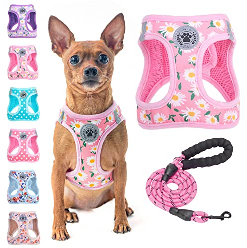 BEAUTYZOO Step in Hundegeschirr und Leine, Blumenmuster, reflektierend, kein Ziehen, kein Würgen, Welpengeschirr für XXS/XS/S, Hunde und Katzen, weich gepolstertes Netzgewebe, für Mädchen und