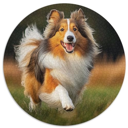 Shetland Schafedog Rund Puzzles 1000 Teile Fur Erwachsene Und Kinder Tieres Haustiers Cute Geschicklichkeitsspiel Geschenk Fordernd Kleinkinder Groß 1000pcs (67.5x67.5cm)