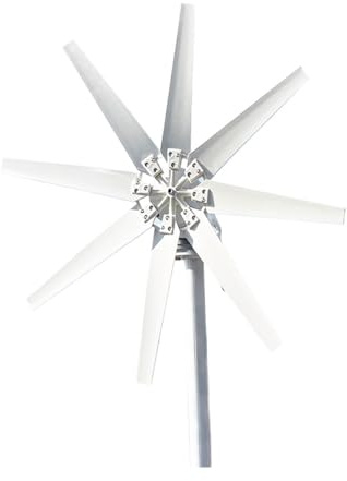 Generador de energía eólica, Turbina aerogeneradora de 1000W, 12V, 24V, 48V, molinos de viento de energía alternativa gratuitos, 8 aspas, uso doméstico, turbinas eólicas de arranque de baja velocidad