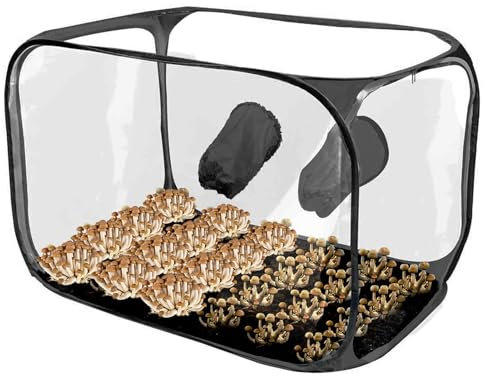 Scatola per la coltivazione di funghi, set di tende trasparenti a funghi | sacchetti per la coltivazione di funghi, forniture per giardinaggio, design pop-up, contenitore pieghevole