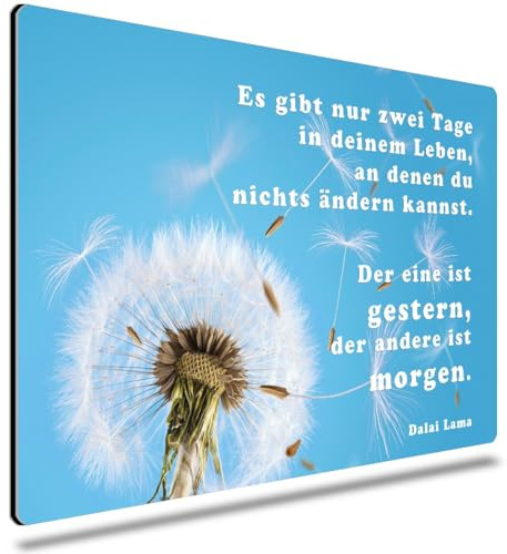 TRIOSK Blechschild Pusteblume lustig mit Spruch Tage im Leben 20x30 cm Metallschild Motivation Sprüche Dekoschild Garten Blumen Geschenk für Frauen Türkis