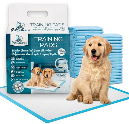 PetCellence Ultra-Absorbierende Welpen Unterlagen 30 Stück - 60x60 cm Prämie Auslaufsichere PIPI Matten für Hunde - 6-Lagigem mit Anti-Rutsch-Band Trainingspads für Hunde