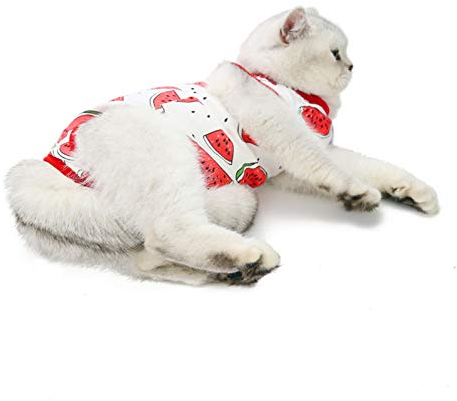 Professioneller chirurgischer Genesungsanzug für Katzen, E-Halsband, Alternative für Katzen und Hunde, nach Operationen, Pyjama, Hauskleidung, Haustierkleidung für den Innenbereich (1,5–2,5 kg),