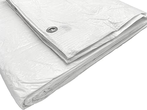 Paquete de 2 lonas impermeables de 4 x 8 m, color blanco, lámina de 55 g/m² con anillos de metal, láminas protectoras para coche, lona multiusos (2 unidades, 4 x 8 m)