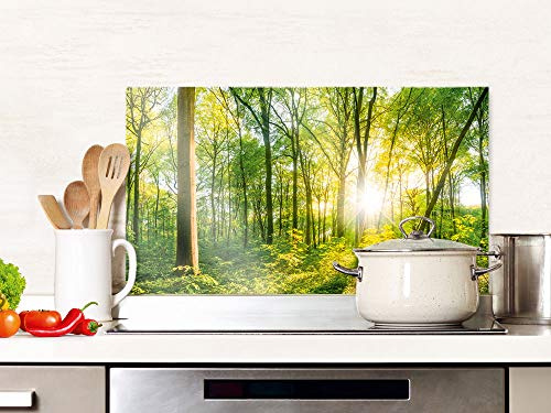 GRAZDesign Spritzschutz Küche Glas Wald, Lichtung, Bäume in Grün, Küchenrückwand Glas für Herd und Spüle, Rückwand Küche Glasplatte mit Motiv, 100x50cm