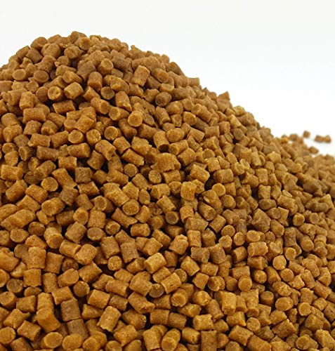 Sinking Wheatgerm Pond Pellets - Winter Fish Food Koi Goldfish Tench Sturgeon (1.8kg)