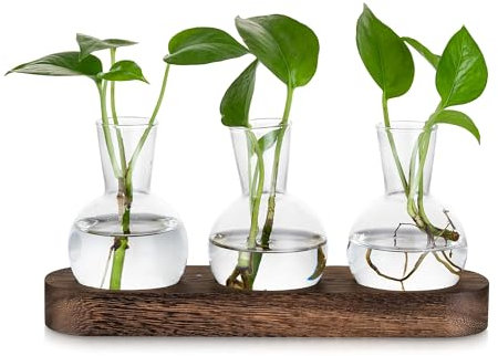 Glasseam Propagation Station for Plant Lovers: 3 Glass Vases with Brown Wooden Tray for Planters Living Room Table Decoration - Desktop Terrarium Hydroponics for Flowers Plants Cuttings Herbs