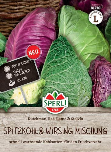 Sperli Spitzkohlsamen Dutchman F1 / Red Flame/Wirsing Stelvio 81230 - Kohlsamen für Hochbeete mit einer kurzen Kulturdauer - Spitzkohl & Wirsing Mischung