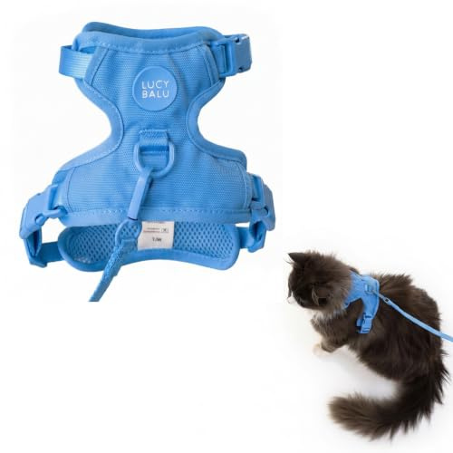LucyBalu® Explorer Kattsele med koppel I bröstsele set med fack för AirTag I vadderad, andningsaktiv och justerbar I 1,5 m kattkoppel I blått XS/S