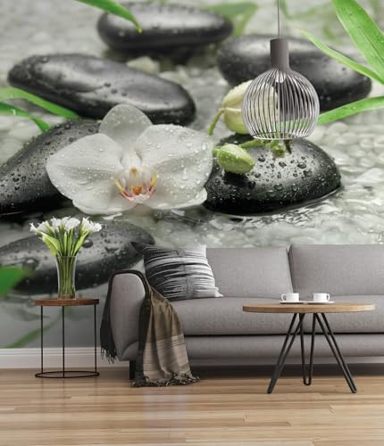Komar 319 DV3 - Papel pintado fotográfico (impresión digital, 300 x 250 cm)
