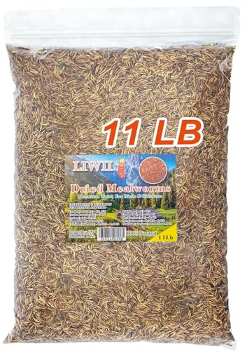 Dried Mealworms -11 LBS- 100% Natural Non GMO High Protein Mealworms - Bulk Mealworms for Wild Birds, Chicken Treats, Hamster Food, Gecko Food, Turtle Food, Lizard Food