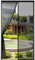Cinkee ADDENSATO Zanzariera Magnetica per Porta 100x240cm, Rete Fine Zanzariera Magnetica, Tenda Zanzariera Porta con Totalmente Calamita, si Chiude da Sola per Balcone (Nero)
