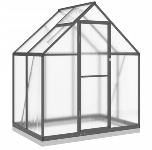 Serra da Giardino in Alluminio e Policarbonato per Esterni Piantina Casa Piantina con Finestra e Porta Riparo Piante Invernale Antracite 169x114x202 cm