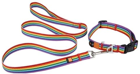 Haustierhalsband und Leine, Set für Hunde, Katzen, Regenbogen, geflochtenes Seil für Hunde, bunte Hundeleine für kleine, mittelgroße und große Hunde, Welpen, Haustierprodukte