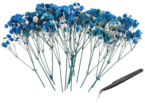 PATIKIL 30 Stück Mini Schleierkraut Getrocknet 10cm Dunkelblau | Natürliche Gypsophila Getrocknete, Trockenblumen für DIY-Kränze Handwerk Geschenk Hochzeit Karte