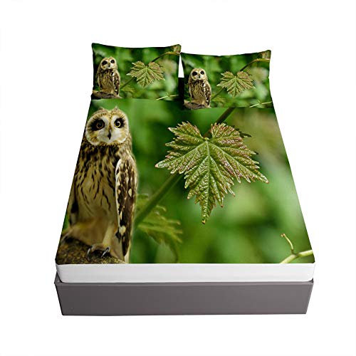 Oduo Spannbettlaken Set, 3D Eule Drucken Spannbetttücher Set mit 1 Spannbetttuch + 2 Kissenbezug für Einzelbett Doppelbett - Spannbetttuch Steghöhe bis 30cm (Grüne Blätter,150x200x30cm)