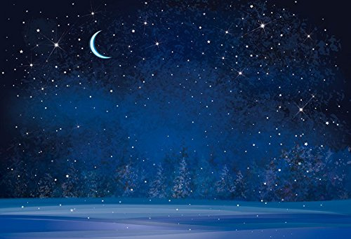 Renaiss 3x2.5m Sternennacht Hintergrund Himmel Mond Schneefall Fotografie Kulissen Verschwommen Wald Nacht Bäume Hintergrund Frohe Weihnachten Frohes Neues Jahr Party Dekoration Studio Requisiten