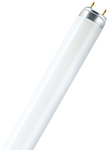 Osram Lampada fluorescente 36 Watt 830 colore della luce L 36 W/830-1