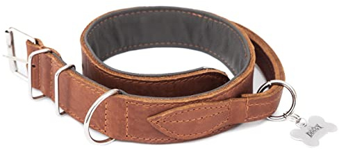 Hundehalsband Leder mit Griff, Lederhalsband Hund, Halsband, Metallschnalle, Hell Braun, 47-54 cm