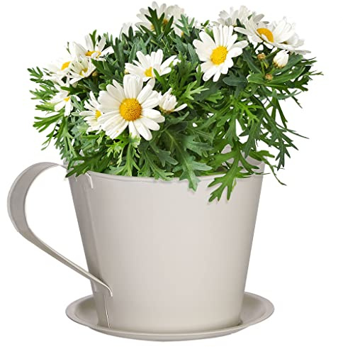 Dibor Flowerpot Novelty Teacup Cup & Saucer Planter Metal Outdoor Trough Bucket 2L Herb Succulent Flower Pot for Garden Ivory White