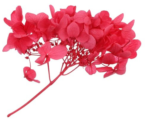 ABOOFAN Hortensia Artificiel Au Toucher Réaliste Fleurs Séchées Faites À La Main Fleur D'hortensia pour Décoration De Artisanat De Fleurs Immortelles