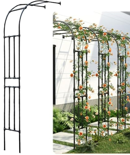 frides Rankhilfe Halbbogen aus Metall, Rankhilfe Halbbogen Verzinkt RosenHalbbogen, Hochzeit Spalier Torbogen Hochbeet Rosenreben Kletterstütze für Hinterhof Terrasse im Freien(240x240x40cm)