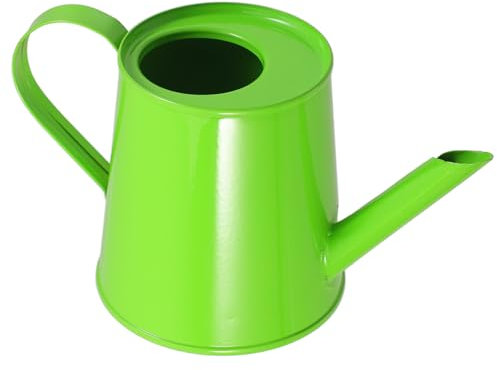 GANAZONO Mini Arrosoir Fer Vert Arrosoir Décoratif pour Maison Et Accessoire Photo Objets De Décoration De Bureau