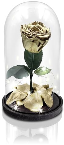 Aluisi Fiori - Rosa Stabilizzata Oro con LED - Rosa Eterna Stabilizzata - Rosa Stabilizzata Vera in Cupola di Vetro - Fiori Stabilizzati - Regalo per Mamma - Made in Italy