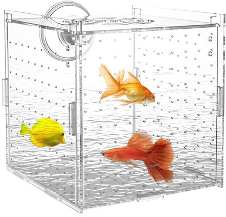 Fish Tank Breeder Box Clear Breeding Box for Fish Tank