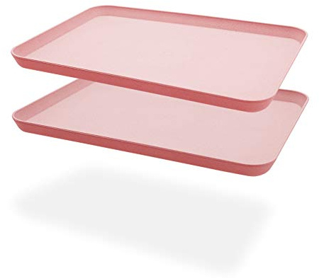 Lot de 2 Plateaux de Service incassables décoratifs, Parfaits pour Le dîner, Le thé, Le lit, Le Bar, Le Petit déjeuner, Les Aliments (Rose)