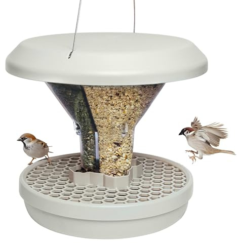 Bird Feeders Hanging Station - Davos - Smart Bird Feeder - No Mess Bird Seed - Seed Tray - Gardening Gifts - Bird Watching Gifts - Bird Table - Robin Food - Blackbird