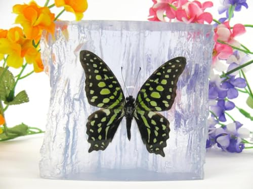 In Kunstharz gegossene Schmetterlinge, Insekten, Skorpione und mehr. Briefbeschwerer, Icemountain, nicht scharfkantig (Schmetterling 33)